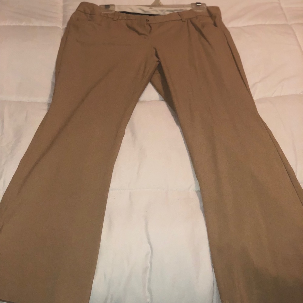 Express khaki pants